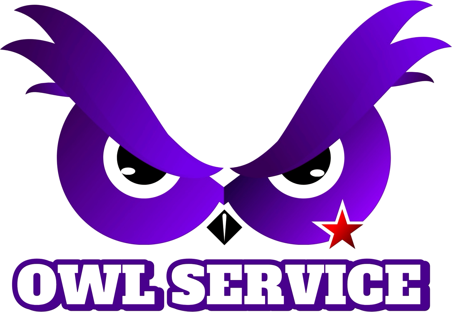 OWL Service โน๊ตบุ๊คมือสอง โลโก้